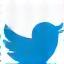 Twitter icon